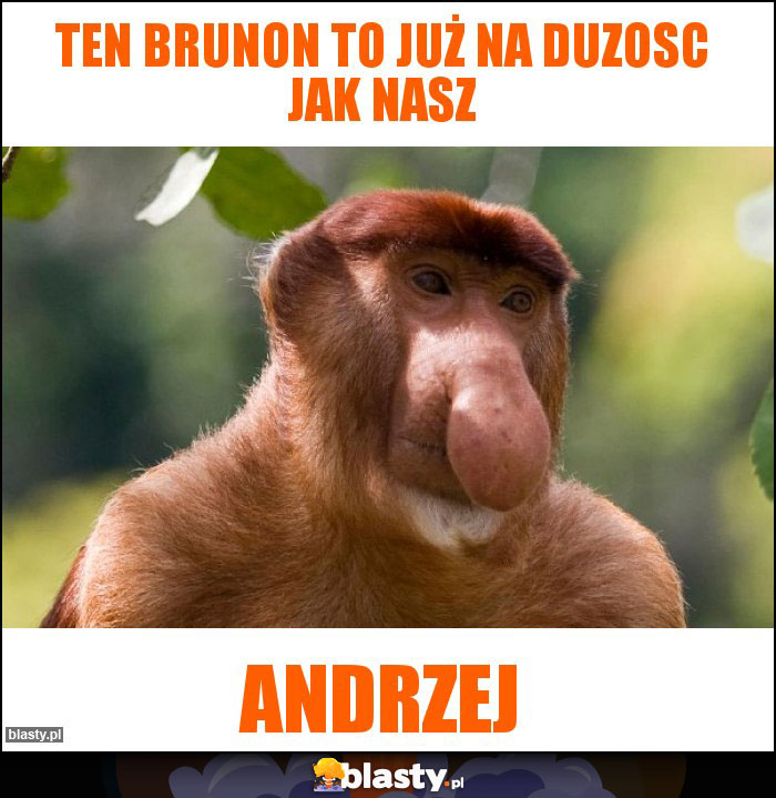 Ten Brunon to już na duzosc jak nasz