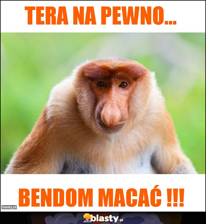 TERA NA PEWNO...