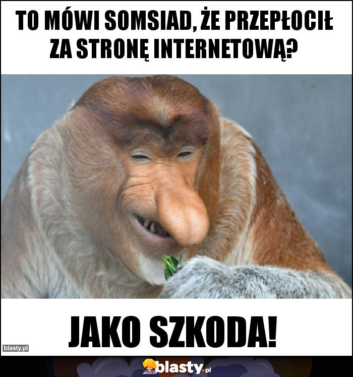 TO MÓWI SOMSIAD, ŻE PRZEPŁOCIŁ ZA STRONĘ INTERNETOWĄ?