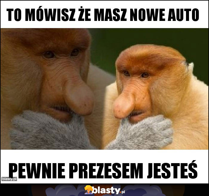 To mówisz że masz nowe auto