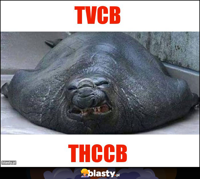 Tvcb