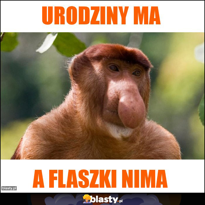 urodziny ma