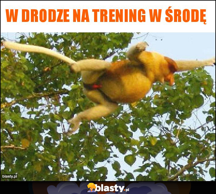 W drodze na trening w środę