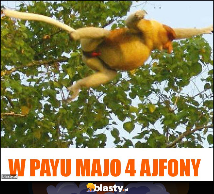 W PayU majo 4 ajfony