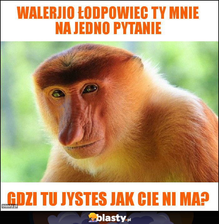 Walerjio łodpowiec Ty mnie na jedno pytanie