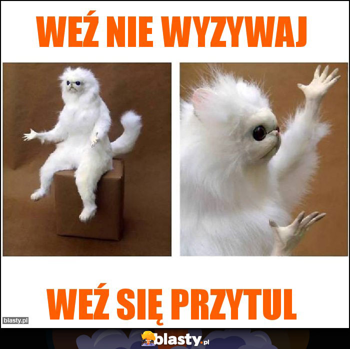 Weź nie wyzywaj