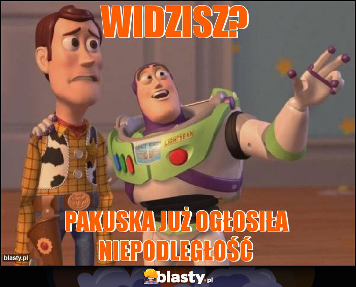 widzisz?