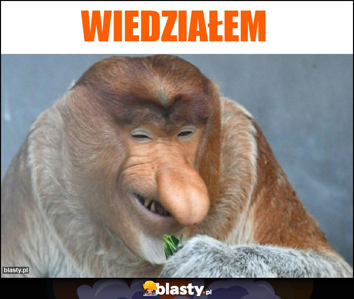 wiedziałem