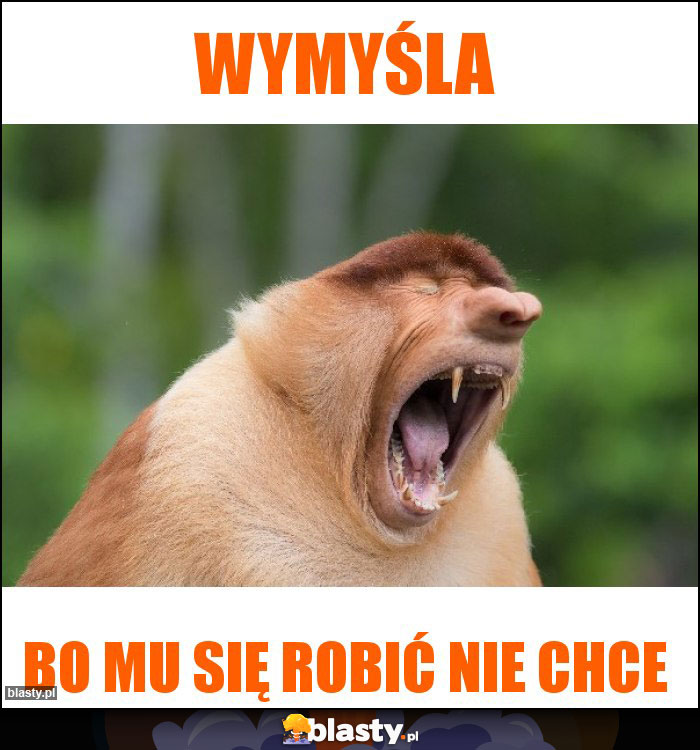 Wymyśla