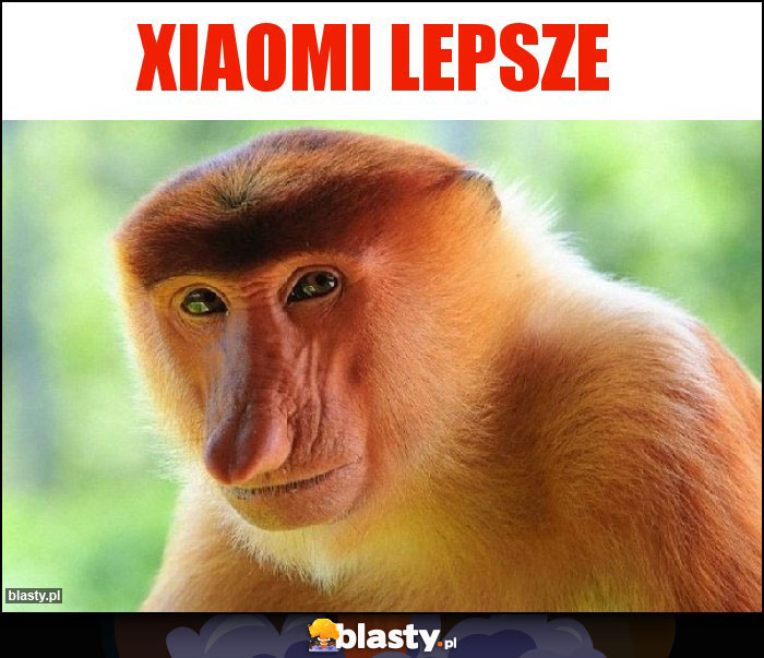 XIAOMI LEPSZE