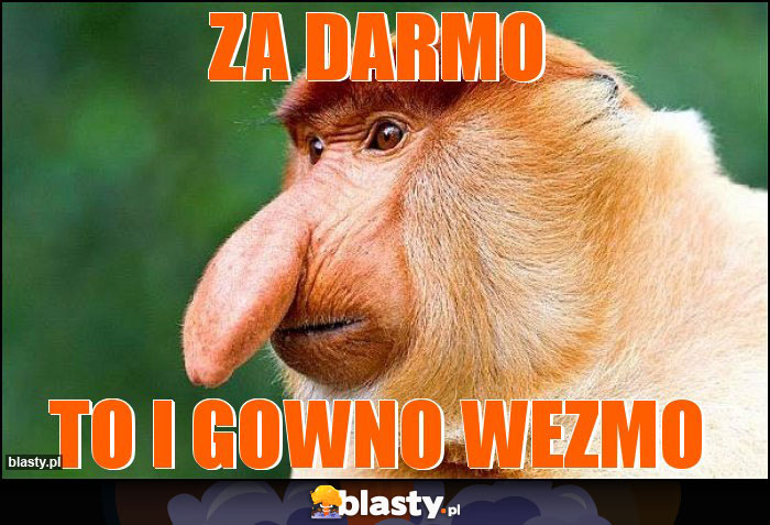 ZA DARMO