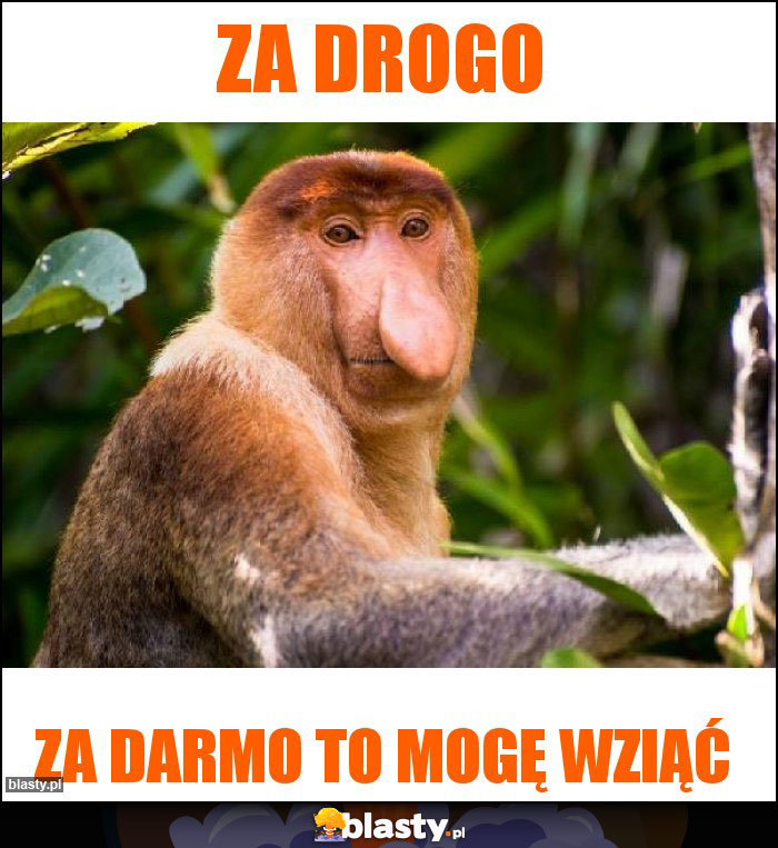 Za drogo