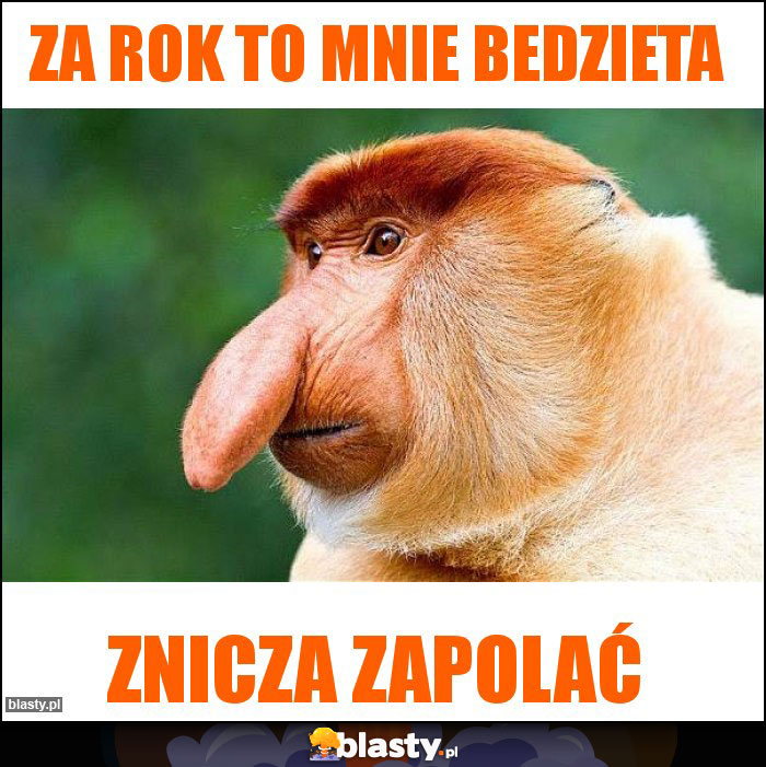 Za rok to mnie bedzieta