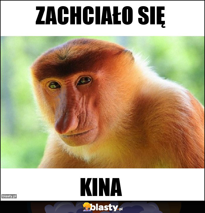 Zachciało się