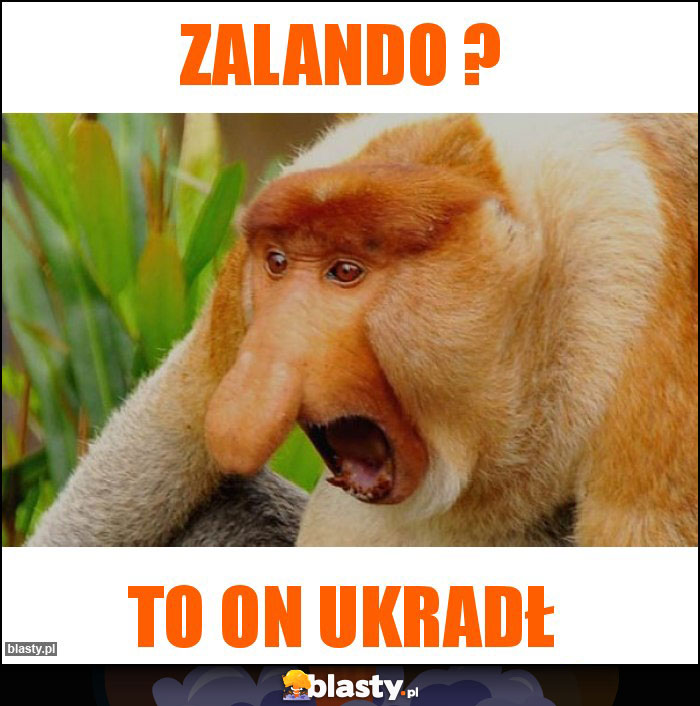 Zalando ?