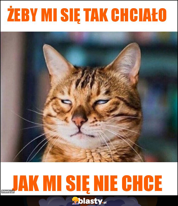 Żeby mi się tak chciało