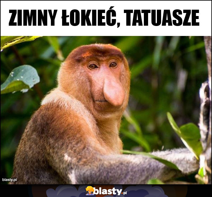 Zimny łokieć, tatuasze