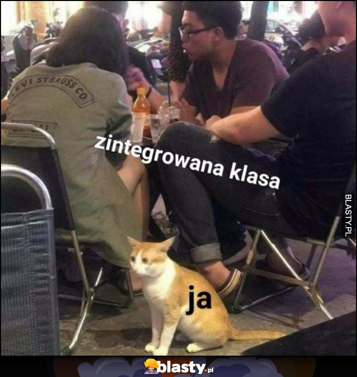 Zintegrowana klasa i ja przestraszony kot