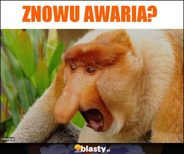 Znowu Awaria?