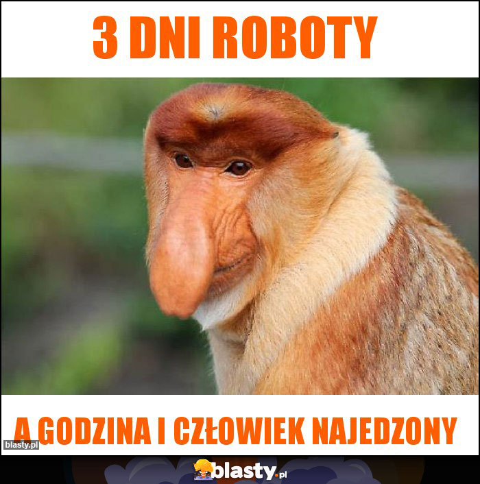 3 dni roboty