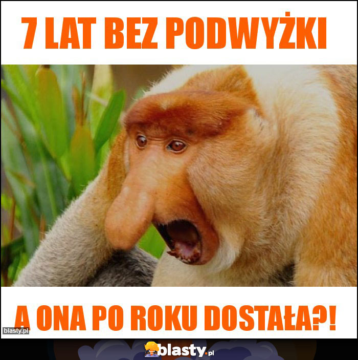 7 lat bez podwyżki