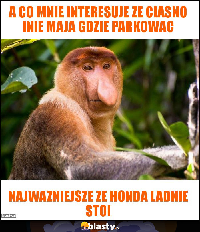 A co mnie interesuje ze ciasno inie maja gdzie parkowac