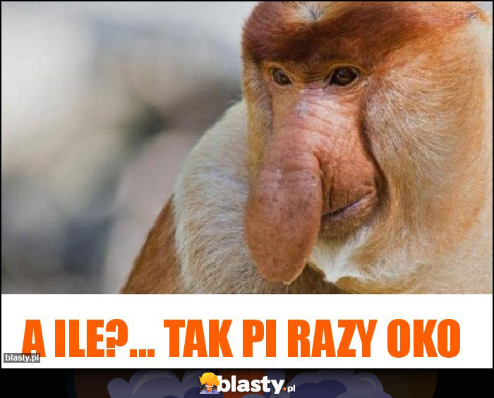 A ile?... Tak Pi razy oko