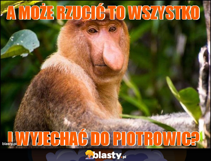 A MOŻE RZUCIĆ TO WSZYSTKO