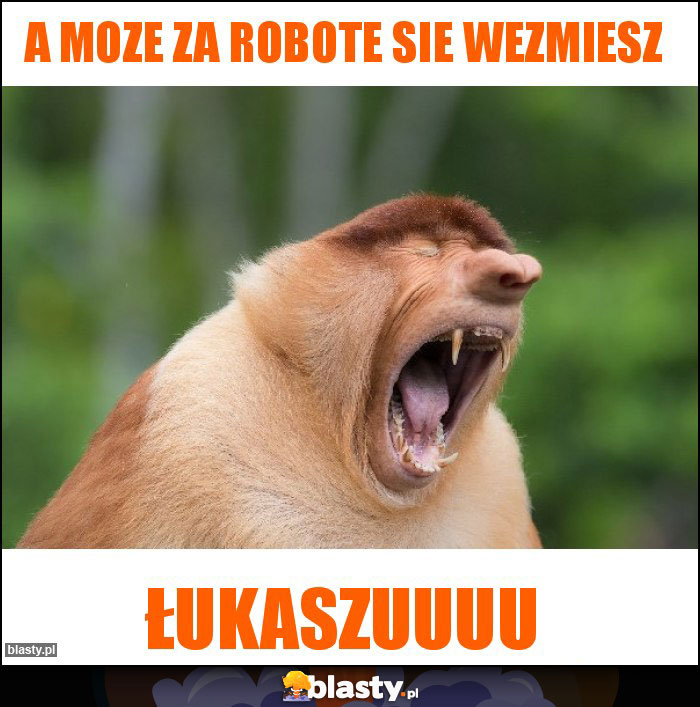 A Moze za robote sie wezmiesz