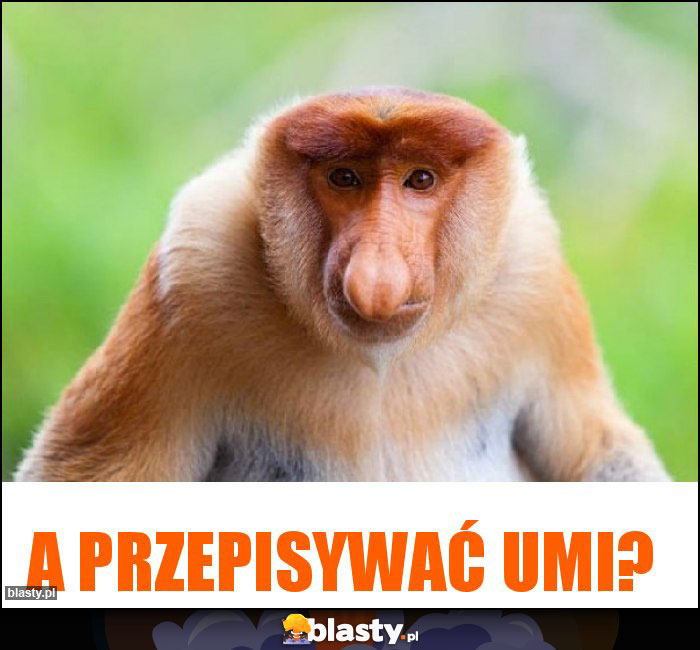 A przepisywać umi?