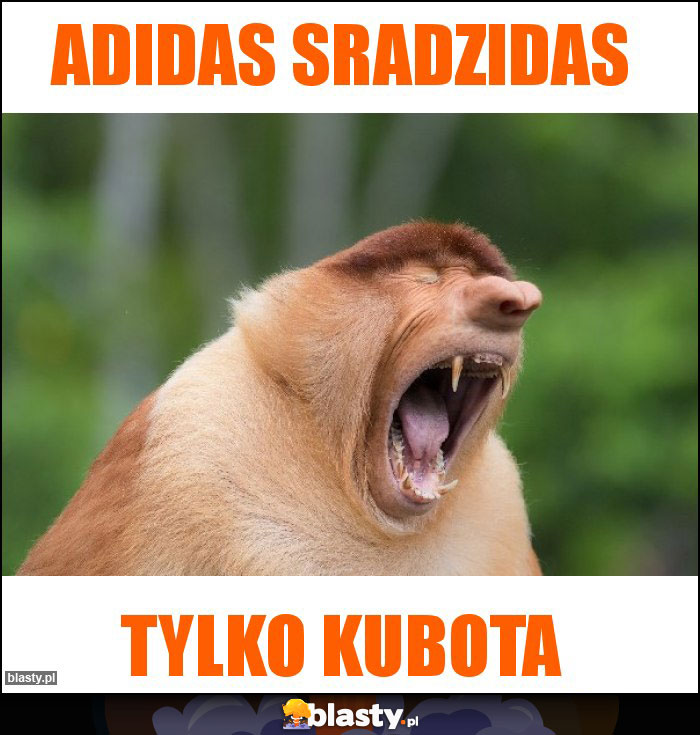 Adidas Sradzidas