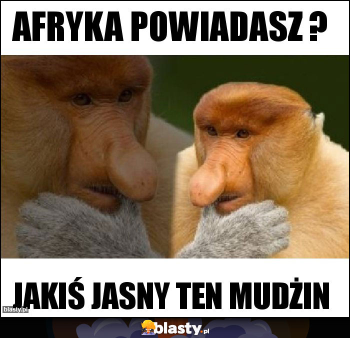 Afryka powiadasz ?