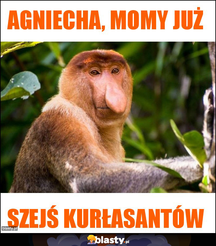 Agniecha, momy już