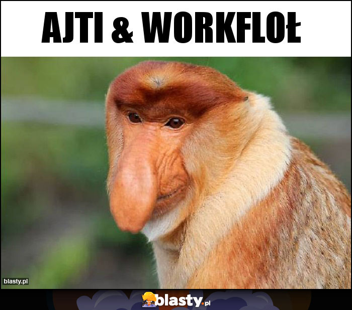 AJTI & WORKFLOŁ