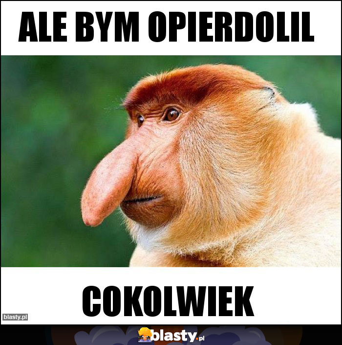 Ale bym opierdolil