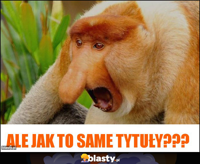 ALE JAK TO SAME TYTUŁY???