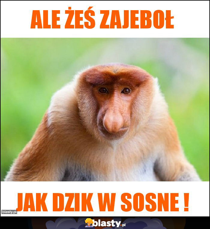 Ale żeś zajeboł