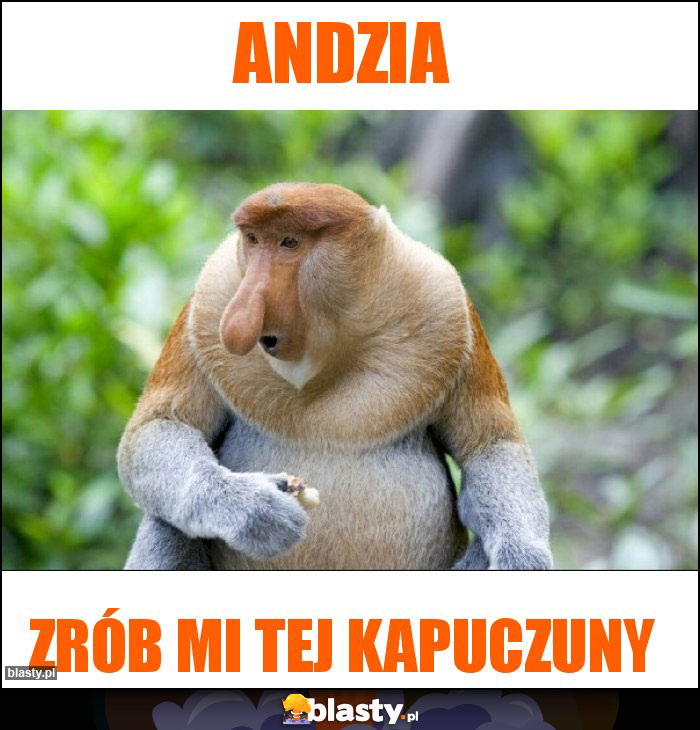 Andzia