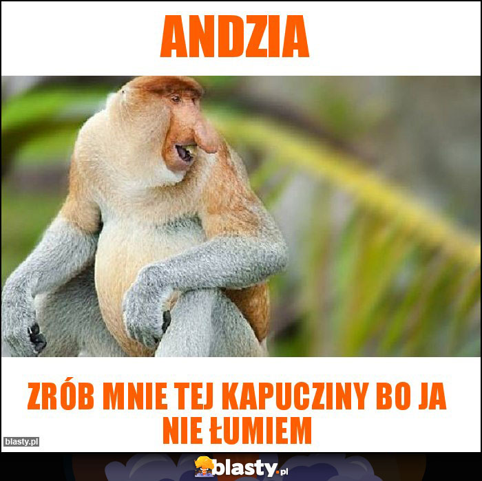 Andzia