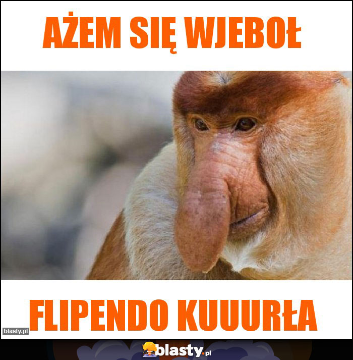 ażem się wjeboł