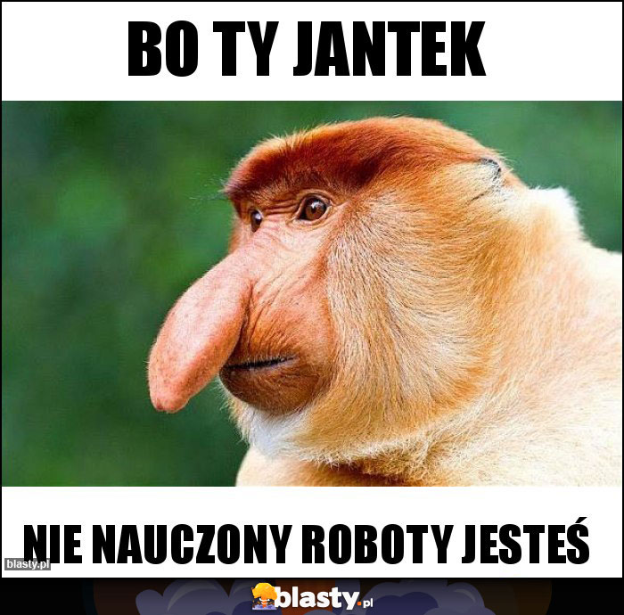 Bo ty Jantek