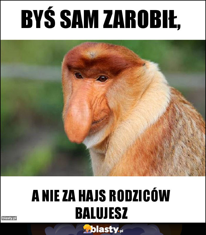 Byś sam zarobił,