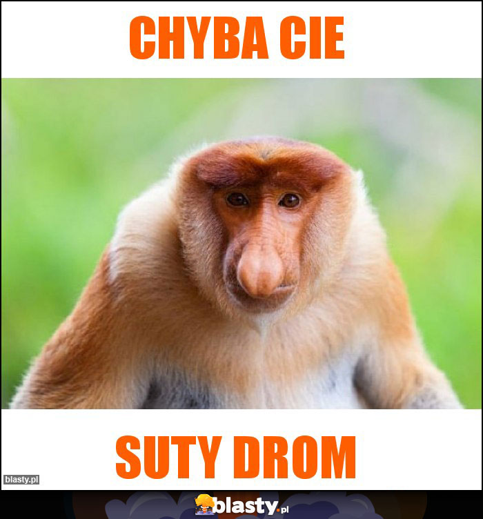 Chyba Cie