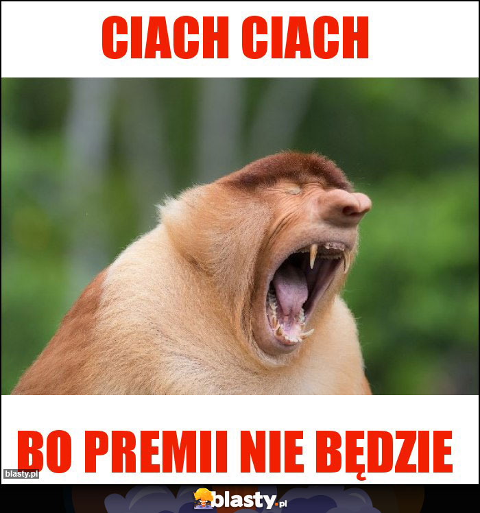 ciach ciach