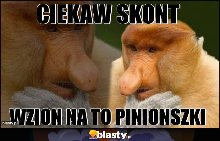 Ciekaw skont