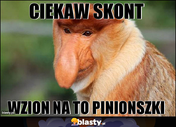 Ciekaw skont