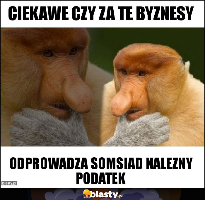 ciekawe czy za te byznesy