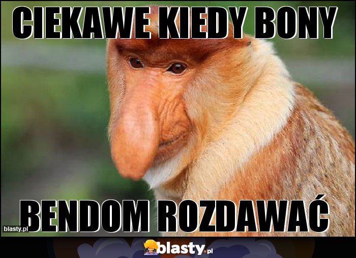 Ciekawe kiedy bony