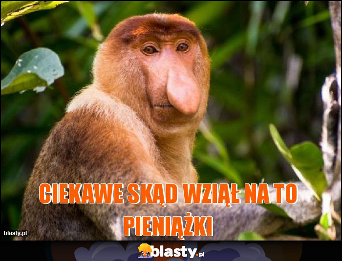 CIEKAWE SKĄD WZIĄŁ NA TO PIENIĄŻKI