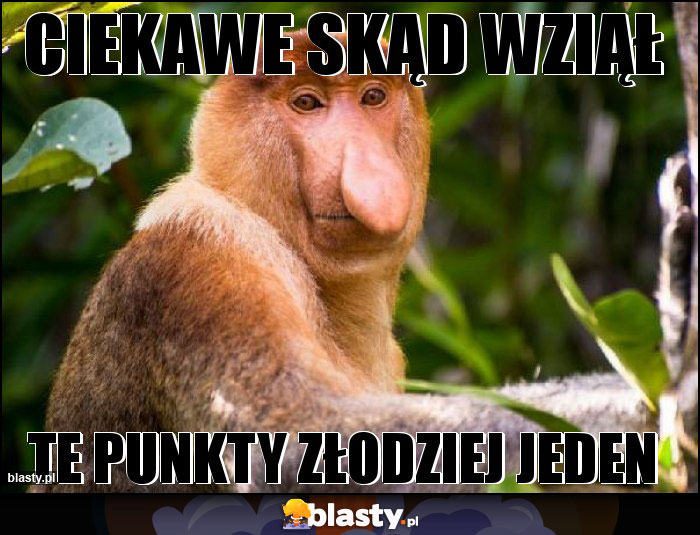 Ciekawe skąd wziął